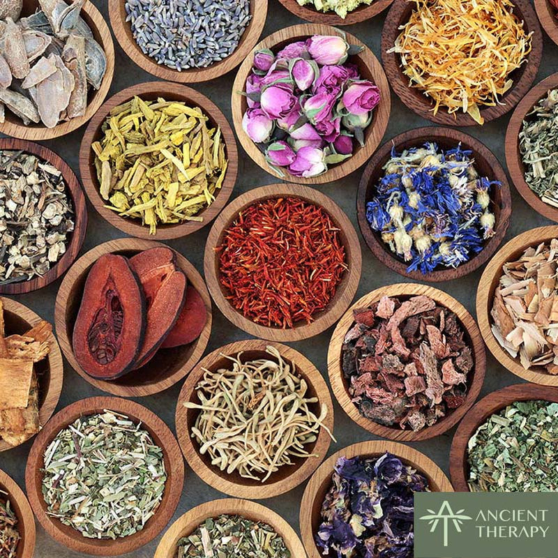 The Modern Ayurveda; A Global Paradigm Shift in Healthcare