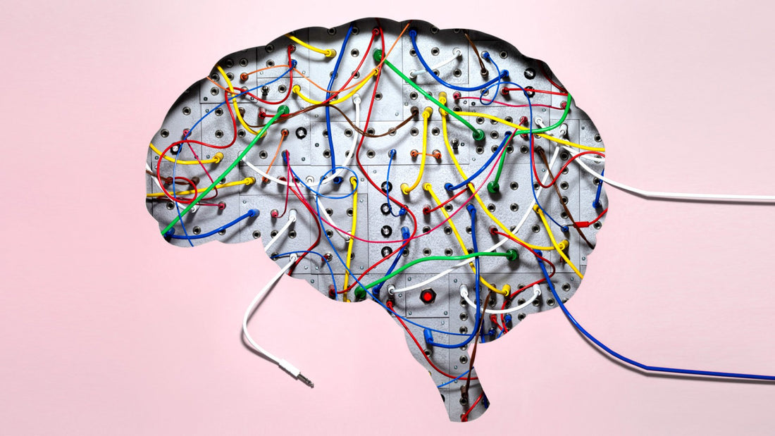 Rewiring Your Brain: Lion's Mane Potential in Neural Regeneration and Repair